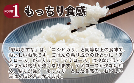 米 令和7年産 彩のきずな 10kg (5kg×2袋) | 白米 米 桜国屋