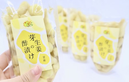 芽生姜の甘酢漬け 3パック