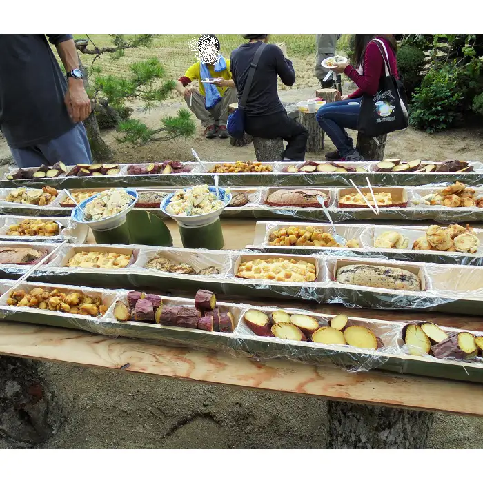 島根県飯南町産サツマイモ うやま農園のさつまいも　3.3㎏【さつまいも 生 紅はるか サツマイモ 生いも 農薬不使用 農家直送 】