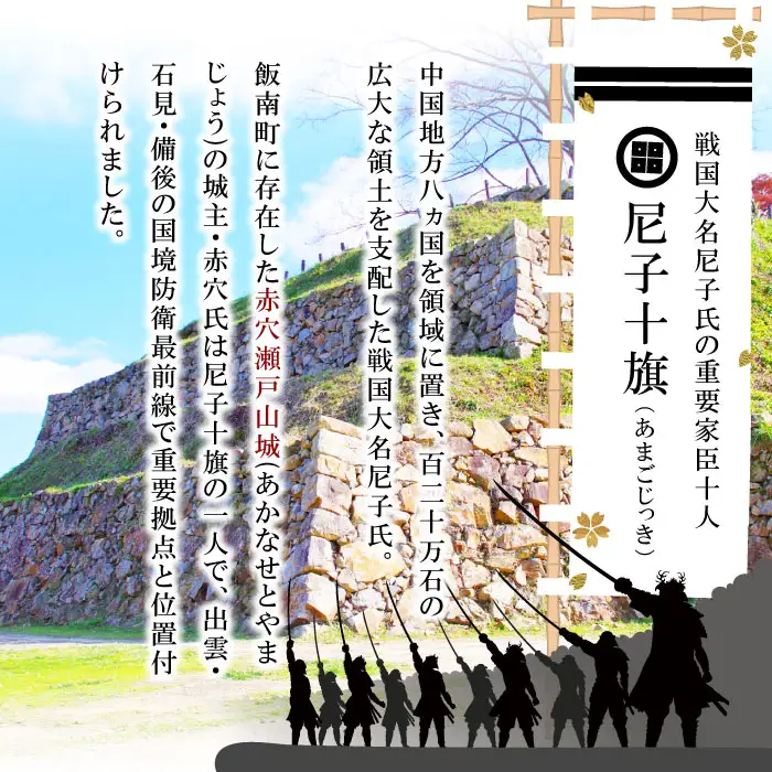 Ａ-34  【ふるさと納税限定】尼子十旗「赤穴瀬戸山城」・「賀田城」御城印帳＆ふるさと納税限定御城印セット