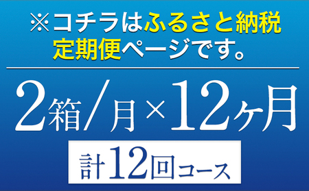 12ヶ月定期便 “九州熊本産”オールフリー２ケース（350ml×48本）×12ヶ月　阿蘇の天然水100％仕込 お酒 ノンアルコール 熊本県御船町《お申込み月の翌月から出荷開始》定期便 定期 計12回 