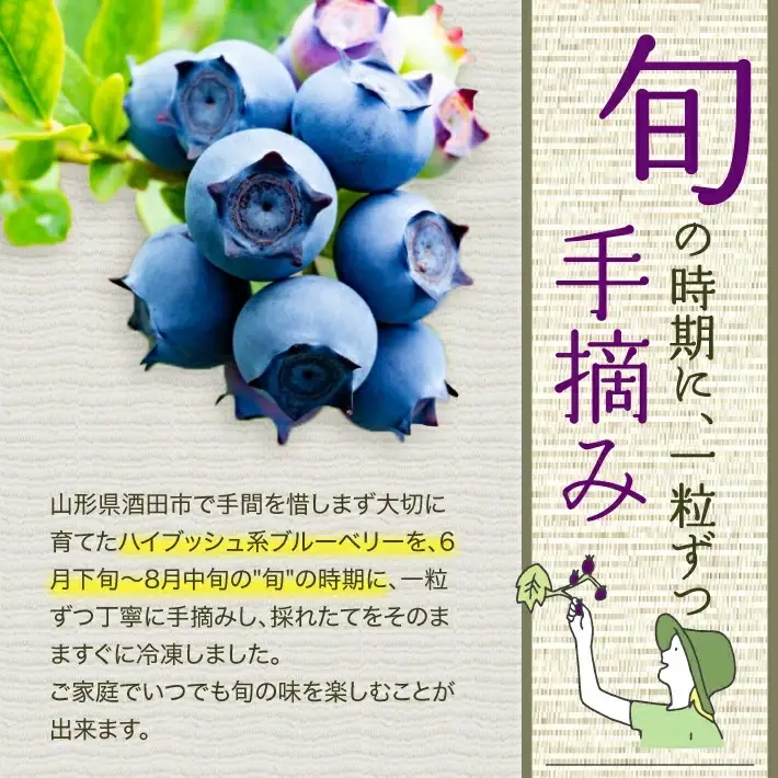SA3081　訳あり 冷凍ブルーベリー　計2kg(500g×4パック)