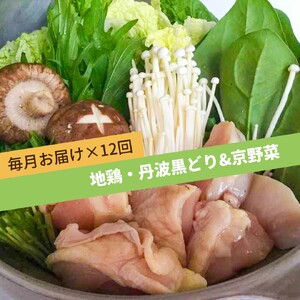 【12回定期便】地鶏丹波黒どり＆京野菜詰合せ 野菜 