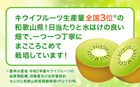 キウイ約2kg(12～17玉) 