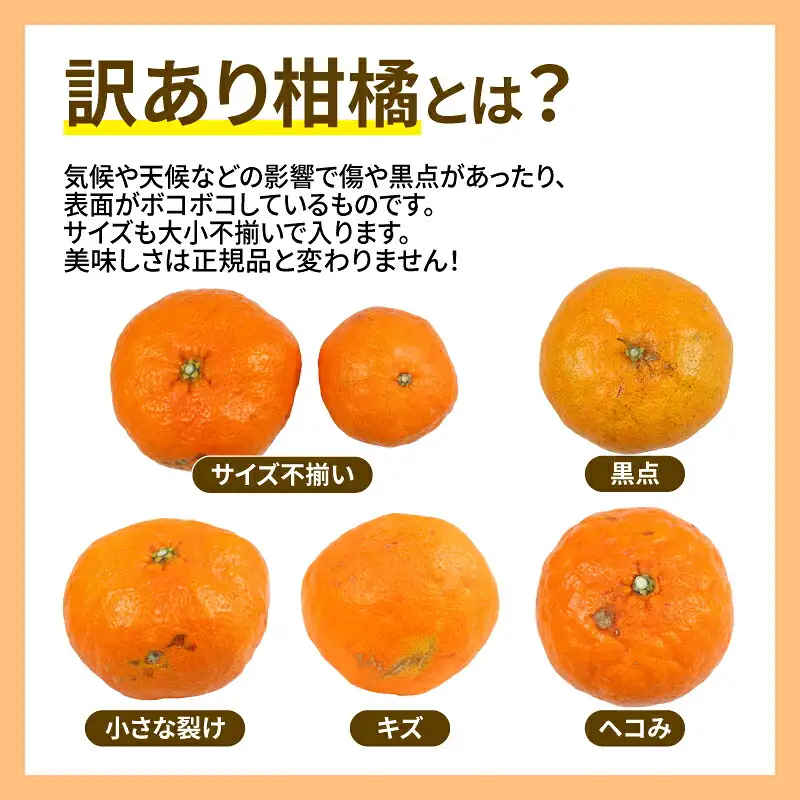 愛媛みかん 訳あり 甘平 5kg 高級 愛媛 限定 ブランド 品種 マル南フルーツ 先行予約 訳あり品 わけあり かんぺい 希少 甘い シャキシャキ 愛媛ミカン 愛媛蜜柑 蜜柑 訳ありみかん みかん mikan 果物 くだもの フルーツ 柑橘 国産 愛媛 宇和島 B012-106021