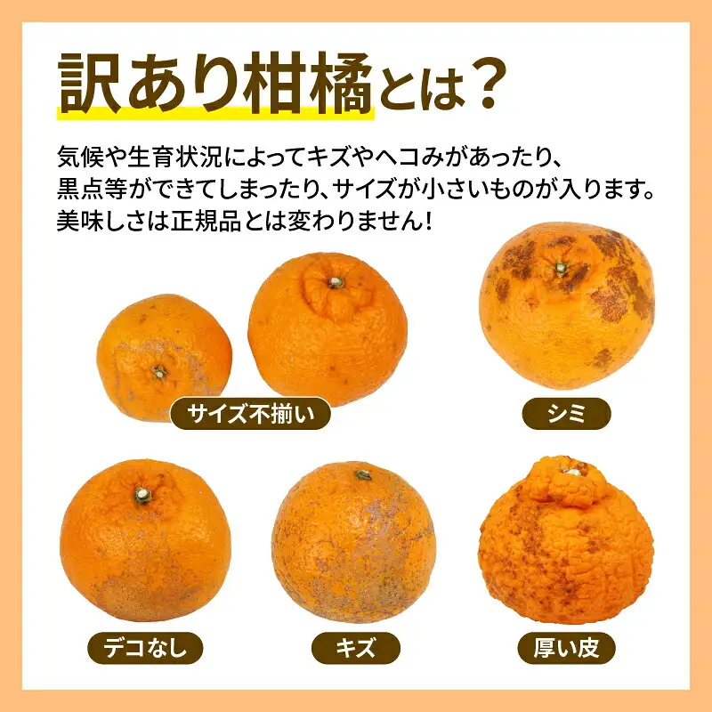 訳あり 不知火 デコポン ( デコポン と同品種) 5kg マル南フルーツ B010-106022