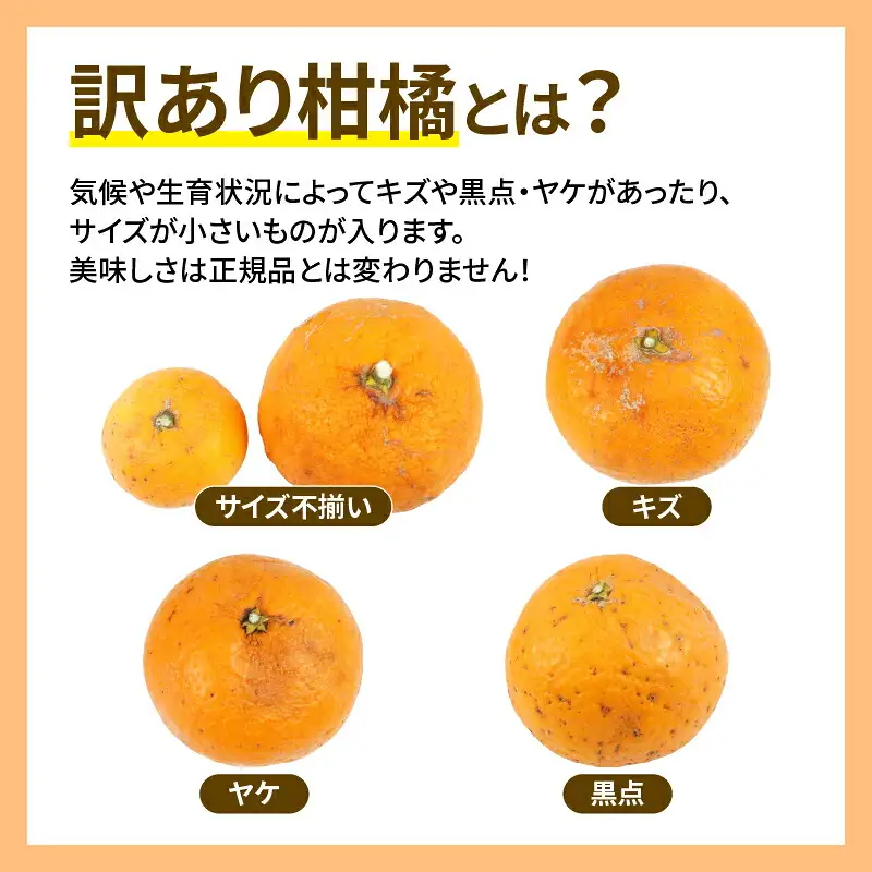 訳あり 清見タンゴール きよみ 5kg マル南フルーツ 清見オレンジ きよみ B010-106024