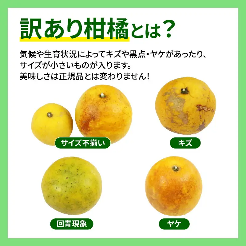 訳あり 河内晩柑 10kg フルーツ マル南フルーツ B010-106025