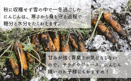 【1月～2月発送】生で食べられる 雪下にんじん〈積雪期限定〉標高900m 農場直送 雪まち野菜（8kg）ファームかずと【長野県信濃町】