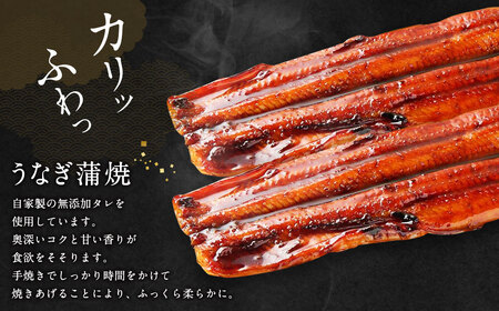三河一色産 うなぎ蒲焼き 大2尾、白焼き 大2尾 合計640g以上 うなぎ 鰻 蒲焼 蒲焼き 白焼き 冷凍