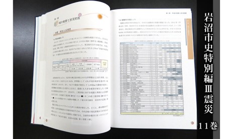 岩沼市史 第11巻特別編3 震災 本 東日本大震災