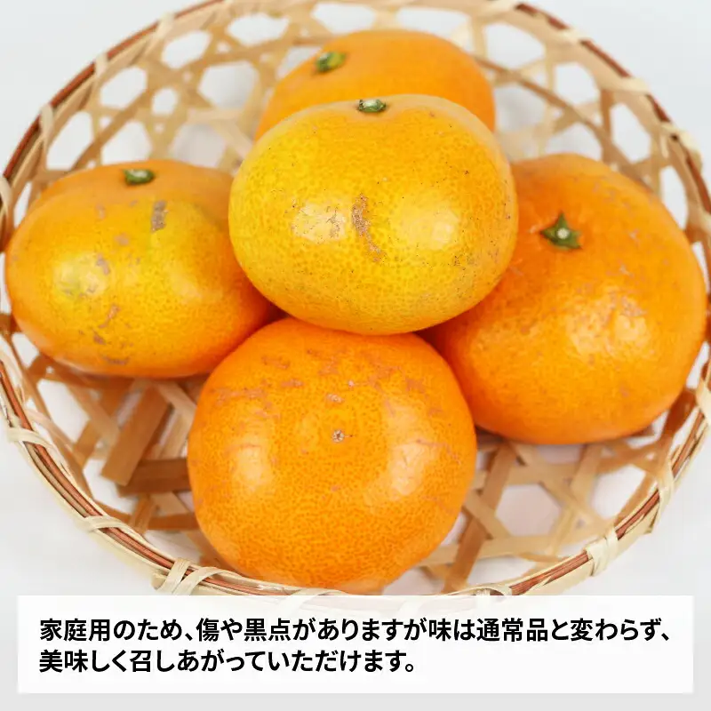 【ご家庭用】早生温州9kg玉津柑橘倶楽部みかん|B010-072001