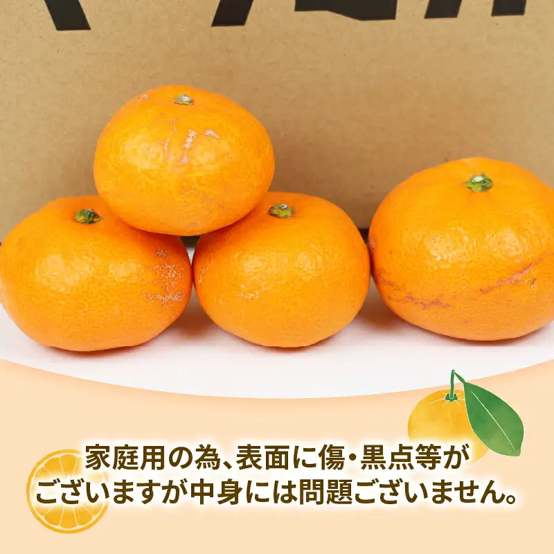 南柑20号 みかん 9kg 家庭用 玉津柑橘倶楽部 温州みかん 【 みかん 愛媛 】 B010-072002