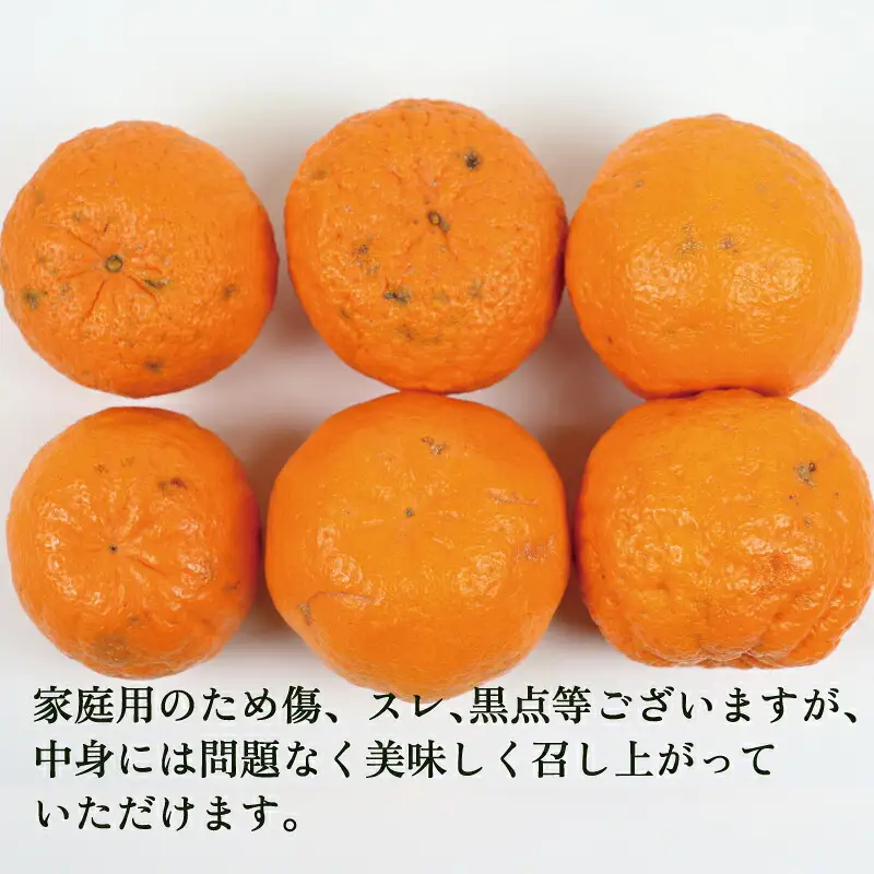  【宇和島産ポンカン】冬の柑橘 ポンカン 9kg 玉津柑橘 B010-072003