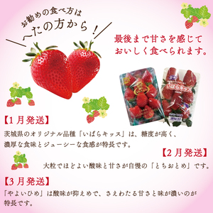 【2027年1月より順次発送】【3回定期便】【いちご食べ比べ】「いばらキッス」・「とちおとめ」・「やよいひめ」(4パック入×3回)JAなめがたしおさい直送便(AE-64)