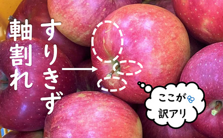【令和8年産先行予約】 〈訳あり品 家庭用〉 JA りんご 「サンふじ」 約10kg (28～46玉) 《令和8年11月中旬～12月中旬発送》 『JA山形おきたま』 林檎 リンゴ 果物 フルーツ 山形県 南陽市 [1410-R8]