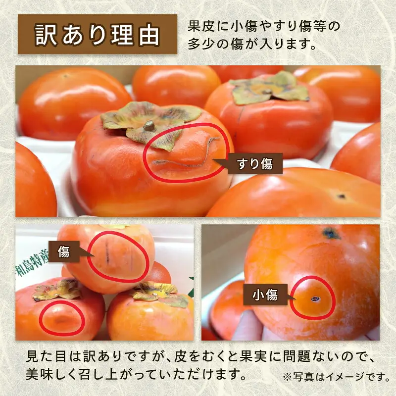【2026年収穫分】 訳あり 柿 次郎柿 5kg 末光農園 F012-118001