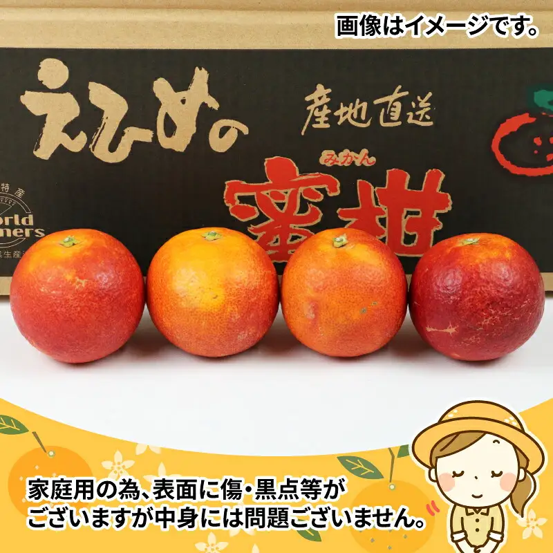 家庭用 ブラッド オレンジ タロッコ 4kg WF オレンジ B012-024012
