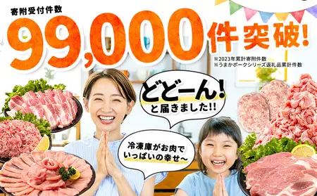 【ふるなびWEEK対象】豚肉 バラエティセット 4.6kg 豚肉 バラ肉 訳あり
