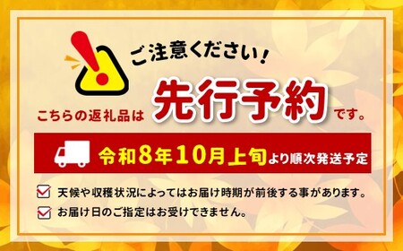 【2026年先行予約】訳あり シナノスイート 約4.5kg ｜ 外川果樹園 