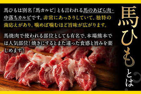 馬ひも 馬刺し用 320g(80g×4袋) 《30日以内に出荷予定(土日祝除く)》 熊本県 玉東町 肉 馬ひも 馬肉 ｜人気馬刺し  人気返礼品 熊本馬刺し