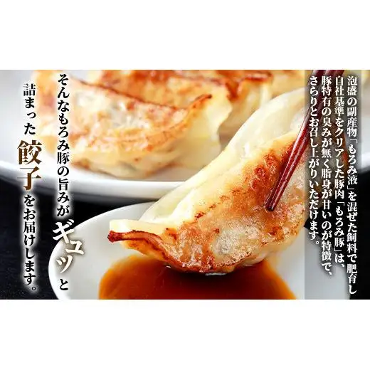 もろみ豚 特製 餃子 4パック【合計48個】 AH-5