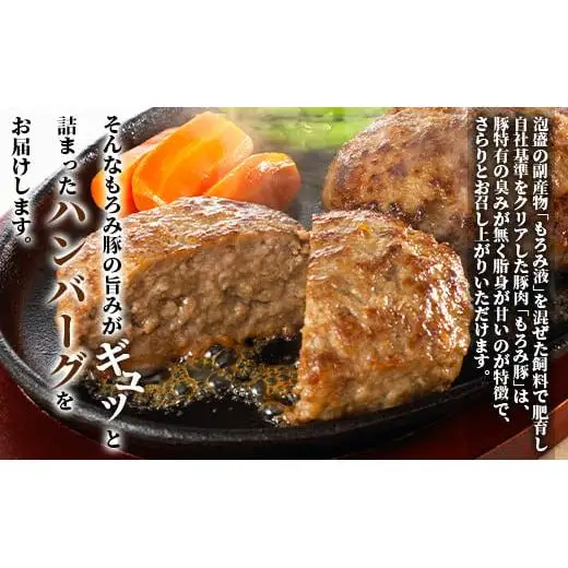 もろみ豚 特製 ハンバーグ 100g×8個【合計800g】 AH-8-1