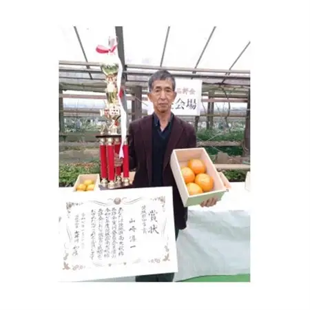 画期的な食感と甘さ柿「太秋」約3.5kg以上(9個～12個)_果物・フルーツ 柿（カキ）  かき_【配送不可地域：離島】【1379461】