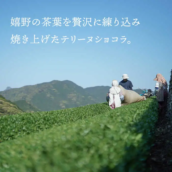 抹茶スイーツ テリーヌショコラ NBM001 スイーツ