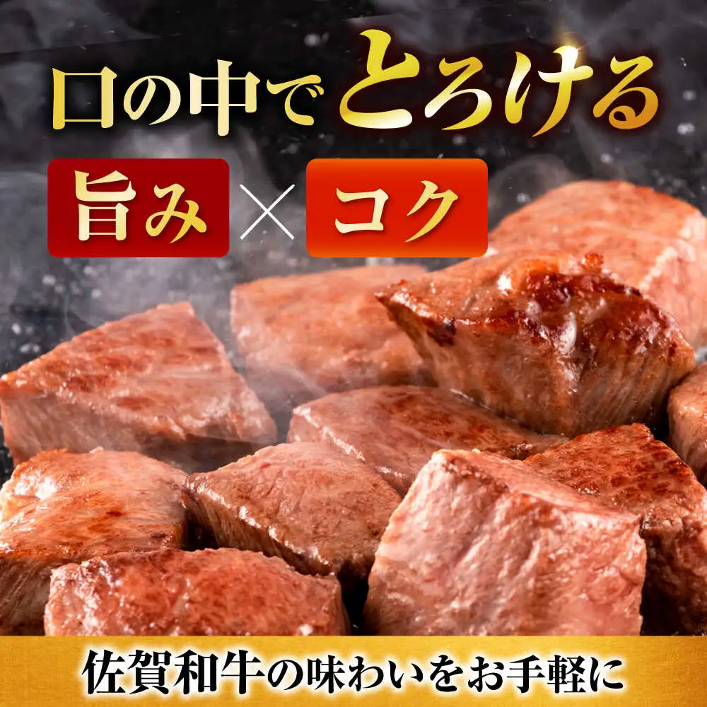 【定期便】牛肉切り落とし 600g NAC109 牛肉切り落とし 全12回