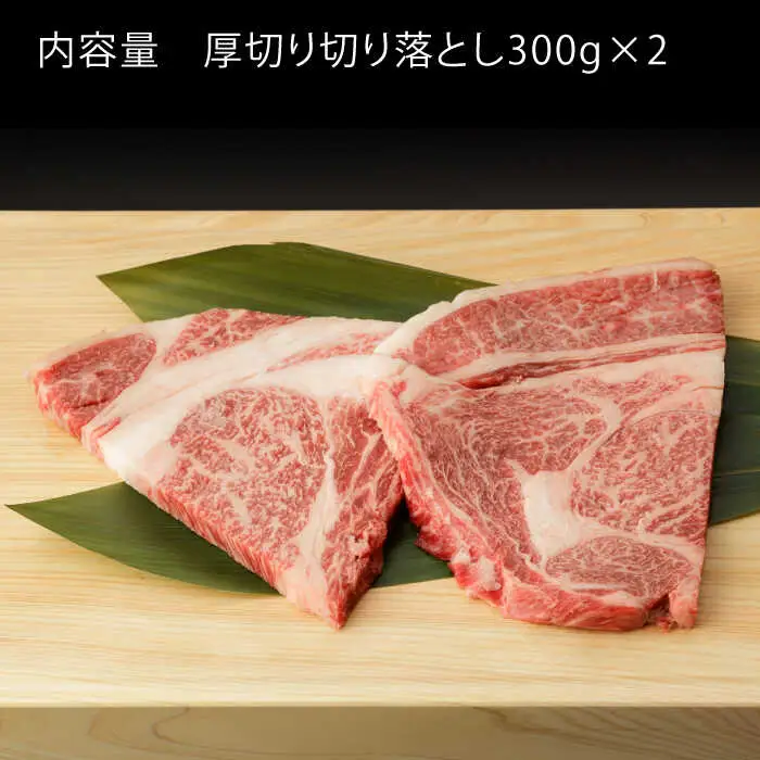 【定期便】牛肉切り落とし 600g NAC126 牛肉 全6回
