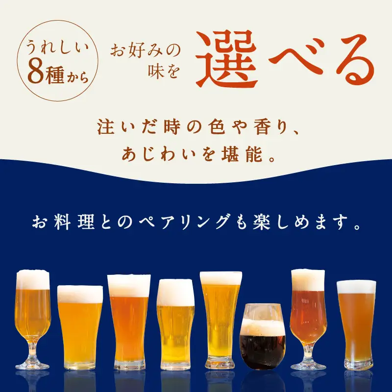 【選べる 地ビール 3本セット】京都・丹後のクラフトビール TANGO KINGDOM Beer お好み3本セット　京都丹後の人気 地ビール 8種から好きな銘柄を選ぶ お好み地ビールセット