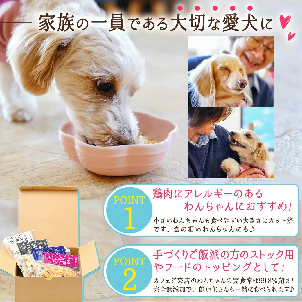 手づくり☆わんご飯『うまうまセット』〔12-J501〕_(都城市) 犬用 手づくりご飯 ぶり大根 馬肉ッパ 牛しぐれ 豚肉ポトフ ドッグフード ペットフード