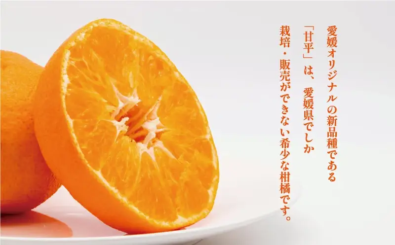【甘平】 4kg かんぺい みかんの山祥 甘平