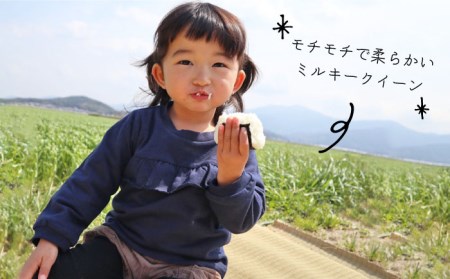 【 全6回 定期便 】米 旋風 ミルキークイーン 5kg 《糸島》【百笑屋】 [ABF015] 米 お米 白米 精米