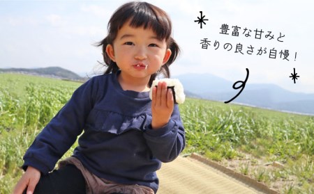 【 全3回 定期便 】米 旋風 ヒノヒカリ 5kg 《糸島》【百笑屋】[ABF020]  米 お米 白米 精米 定期便 ひのひかり