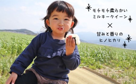 【 全3回 定期便 】米 旋風 贅沢 ブレンド 米 5kg 《糸島》【百笑屋】 [ABF026]  米 お米 白米 精米 定期便 ミルキークイーン ヒノヒカリ