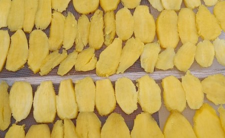 157-2　青野さんちの芋切り干し　紅はるか平干しと丸干し