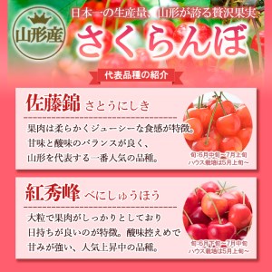さくらんぼ 佐藤錦 Lサイズ 1kg(500g×2パック） 【令和9年産先行予約】FS25-571