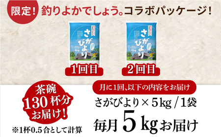 〈受付一時停止中〉【5kg×2回定期便】【令和5年産】さがびより 計10kg（5kg×2）吉野ヶ里町/増田米穀 ご飯 ごはん 米 お米 弁当 おにぎり 国産 佐賀 ブランド ふっくら もちもち [FBM030]