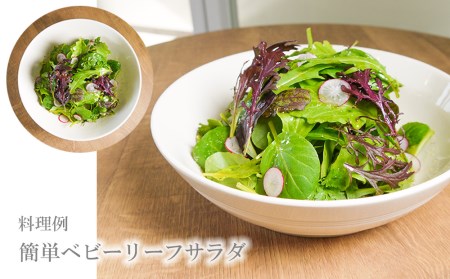 FV024_大容量ベビーリーフ200ｇ×４セット 有機JAS認証取得 野菜　産地直送　旬野菜　新鮮野菜　国産　冷蔵発送