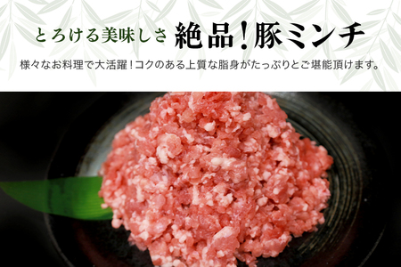 ブランド豚「ばんぶぅ」小分け ミンチ 1kg（500g×2パック） 冷凍便 1キロ たっぷり 豚肉 豚ミンチ 豚ひき肉 豚挽き肉 豚挽肉 キーマカレー ミンチカツ メンチカツ ハンバーグ 餃子 ギョウザ ぎょうざ シュウマイ 肉団子 ミートボール 麻婆 マーボー ぶた肉 ブタ肉 国産 茨城県産 ギフト プレゼント お祝い ご褒美 42-AQ