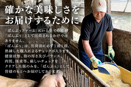 ブランド豚「ばんぶぅ」小分け 切り落とし 4kg（500g×8パック） 冷凍便 4キロ たっぷり 豚肉 豚切り落とし 豚切落し 豚こま切れ 豚小間切れ 豚細切れ 豚こまぎれ ぶた肉 ブタ肉 国産 茨城県産 ギフト プレゼント お祝い ご褒美 42-AV