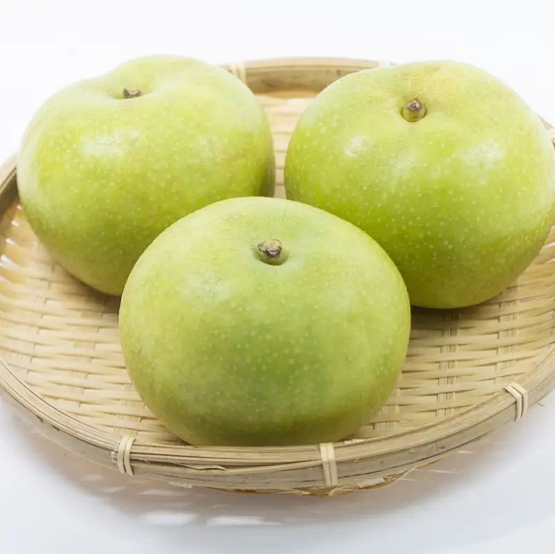 梨 【数量限定】京都丹後産 二十世紀梨 5kg（2026年9月上旬～発送） 梨 梨 梨 梨 梨