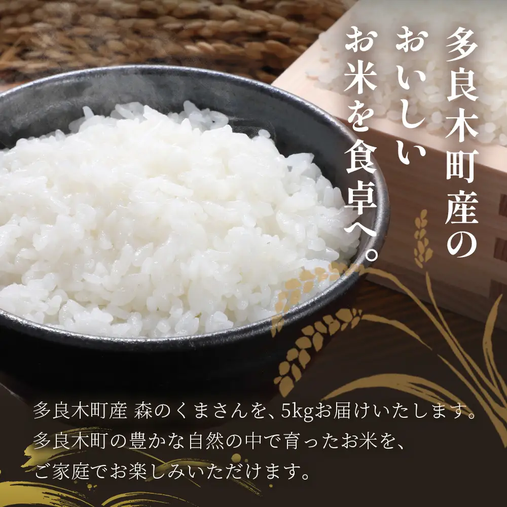 お米 令和7年産 熊本県 多良木町産 森のくまさん 5kg  【 米 おこめ 熊本県産 球磨産 うるち米 おいしいご飯 ライス 美味しいお米 精米 白米 美味しいお米 新米 】053-0672