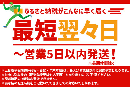 【最短翌々日～5日以内発送】野菜で野菜を食べる ドレッシング 2本 Bセット 《 焼き玉葱 / ブロッコリー 》計600ml 野菜 たっぷり ドレッシング タマネギ たまねぎ サラダ 肉料理 熊本県 多良木町 調味料 最短 最短発送 最速発送 短期間発送 スピード発送 スピード配送 024-0682