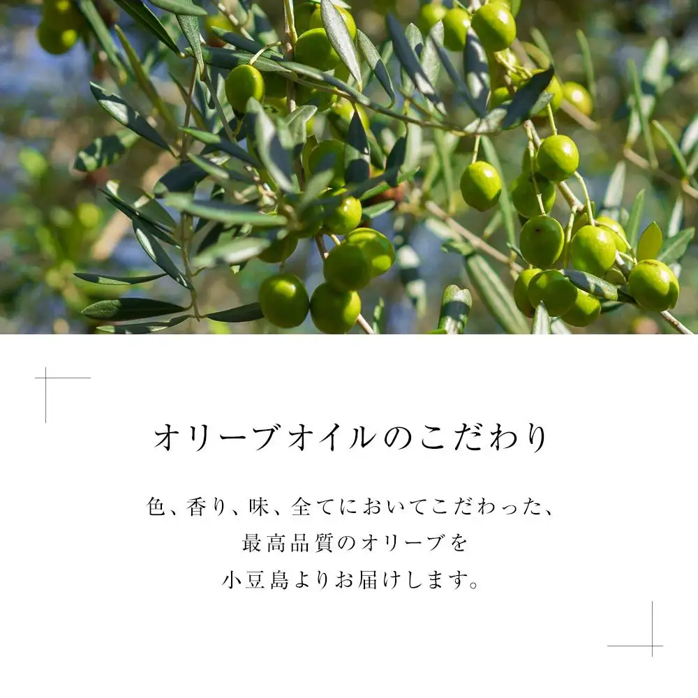 小豆島産オリーブオイル (270g×1本)