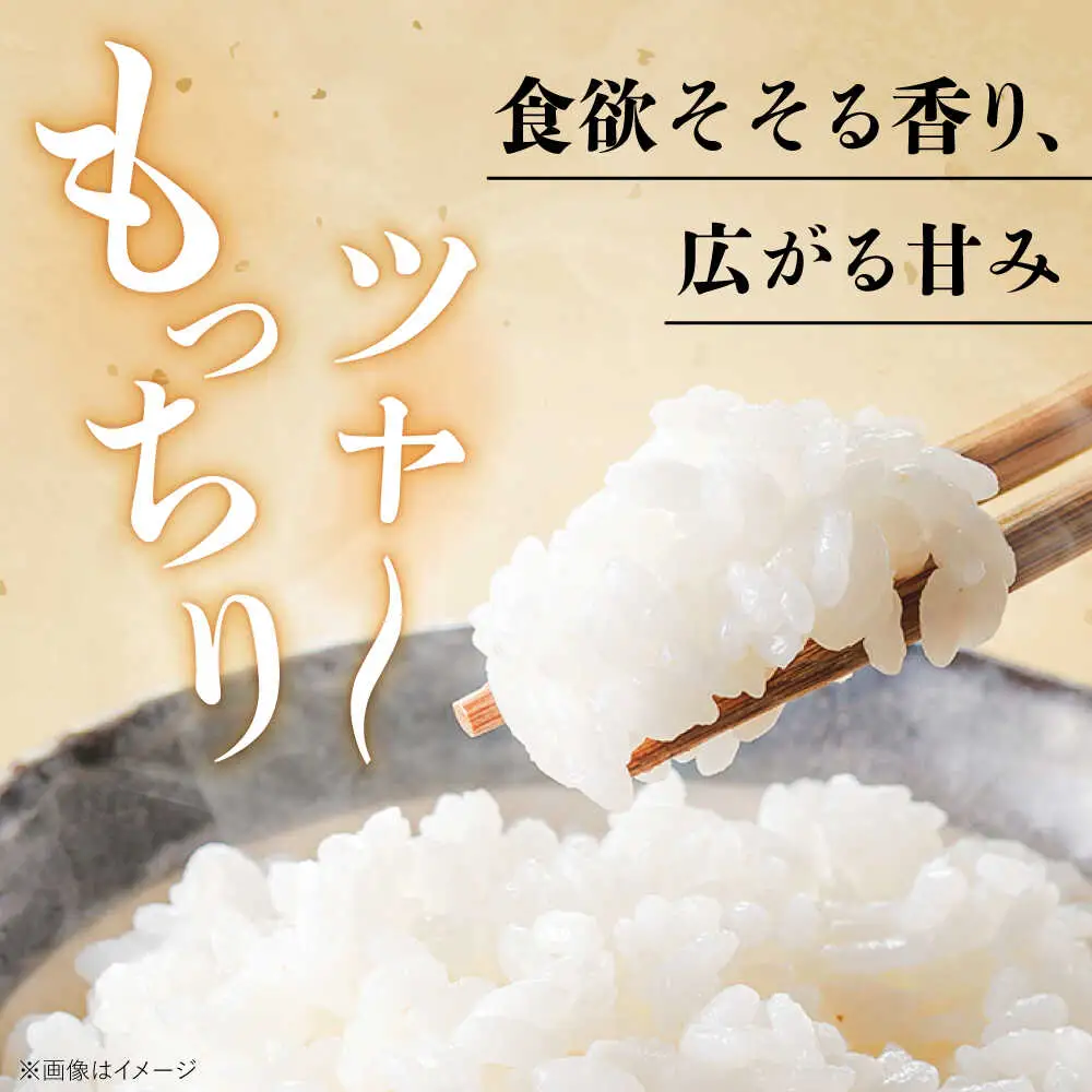 【令和7年度産】福井県産 こしひかり 白米 10kg / 米 白米 精米 小浜市 / お米のきたろう [BFBW001] 