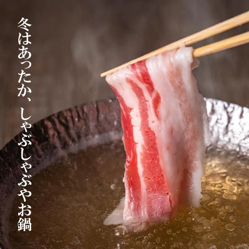 宮崎県産豚肉しゃぶしゃぶスライス4種セット 合計3.8kg ロース・肩ロース・バラ・モモ 小分け＜52-3a＞