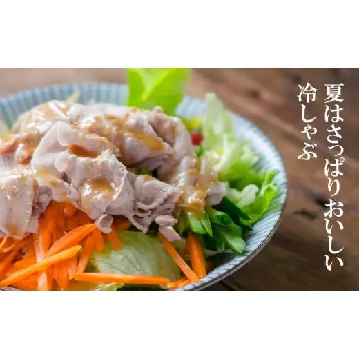 合計4kg !宮崎県産豚肉4種のしゃぶしゃぶセット ロース・バラ・肩ロース・小間切れ 小分け 鍋＜52-4a＞